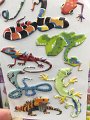 Jess_Lizards2Draw (2)